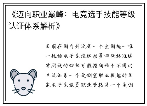 《迈向职业巅峰：电竞选手技能等级认证体系解析》