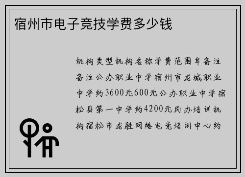宿州市电子竞技学费多少钱